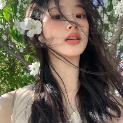 戴洛奇小镇第一季海报